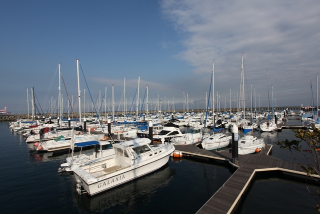 e0183673_1516061.jpg