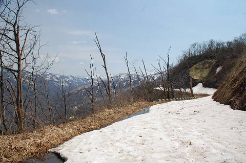 c0022275_2020544.jpg