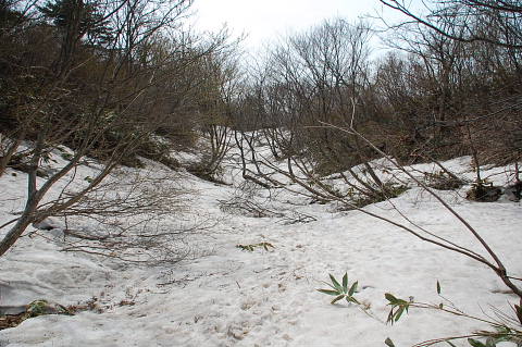 c0022275_202395.jpg