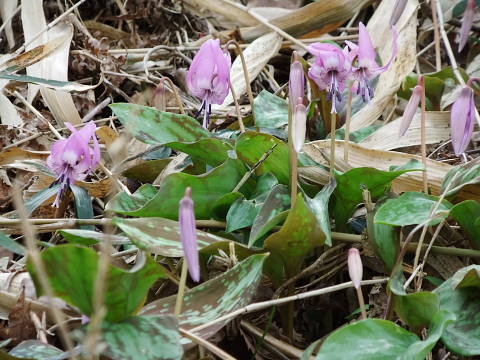 c0022275_20264072.jpg