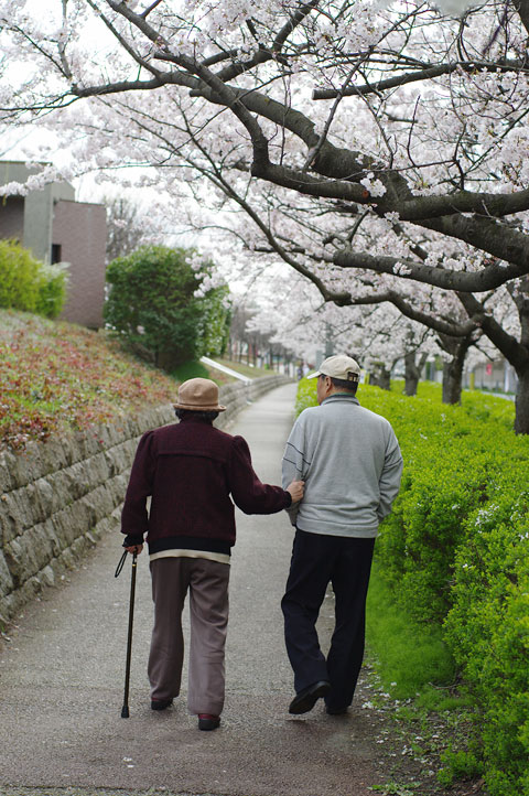 今日のサクラ 2010.4.17_e0082981_2214011.jpg