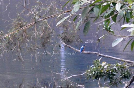 e0148083_19101465.jpg