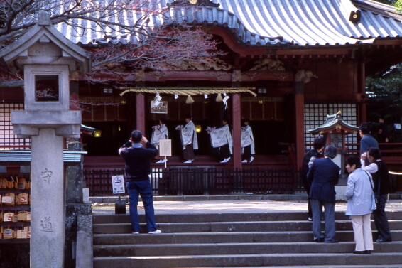 帰って来た伊豆山神社。_b0112584_23383422.jpg