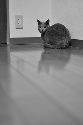 c0203287_22982.jpg