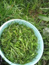 f0231887_17115721.jpg