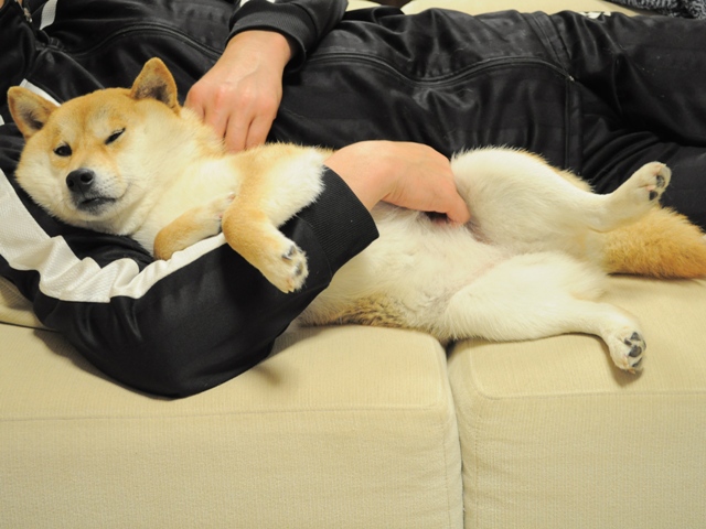お母さんのかぼちゃんなんだよ!_a0126590_3153981.jpg