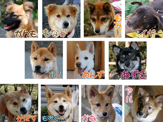 お母さんのかぼちゃんなんだよ!_a0126590_3391283.jpg