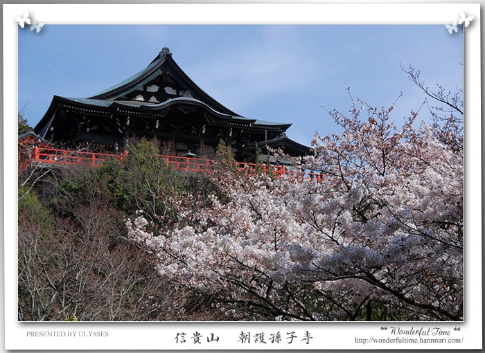 奈良・千本桜　＆　信貴山　/　SAKURA 2010 _a0108795_1151676.jpg