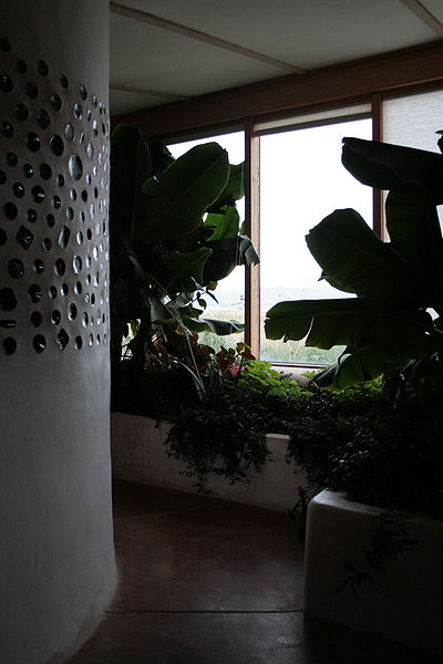 c0053898_944373.jpg