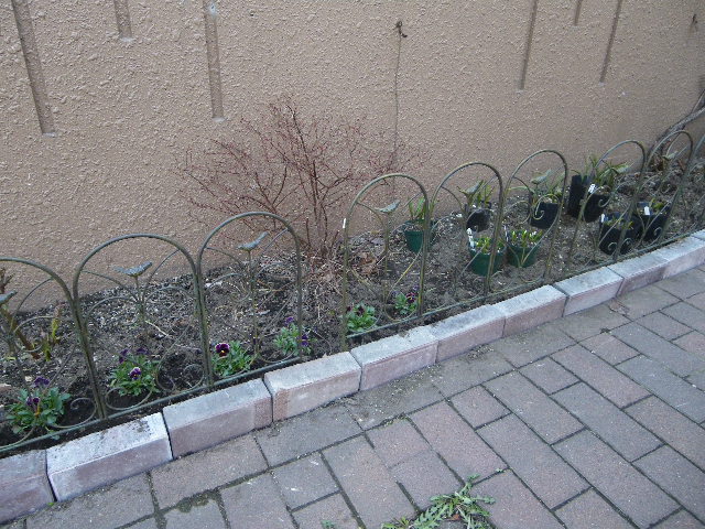 b0151504_1934482.jpg