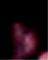 e0103408_12435926.gif