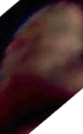 e0103408_12441210.gif