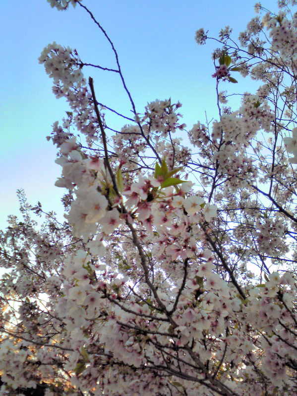 f0054610_1943523.jpg