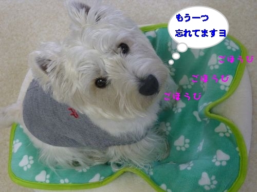 a0161111_2114457.jpg