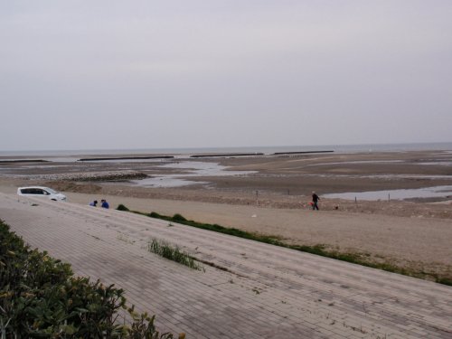 d0007012_203856.jpg