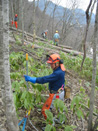 田嶋山林 カラマツの間伐 _c0173813_13172590.jpg