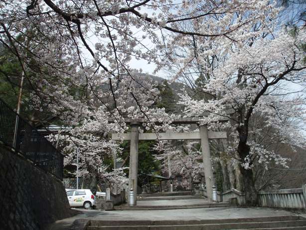 飛騨神岡の桜_d0004813_20442419.jpg