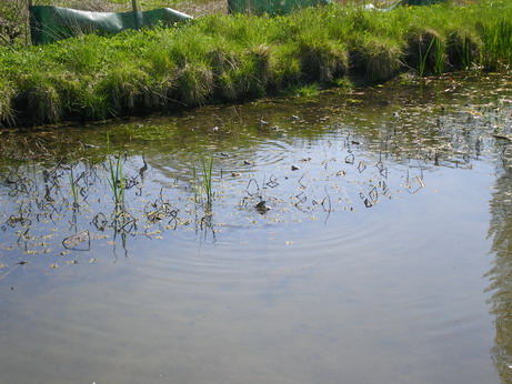 c0124619_5594056.jpg