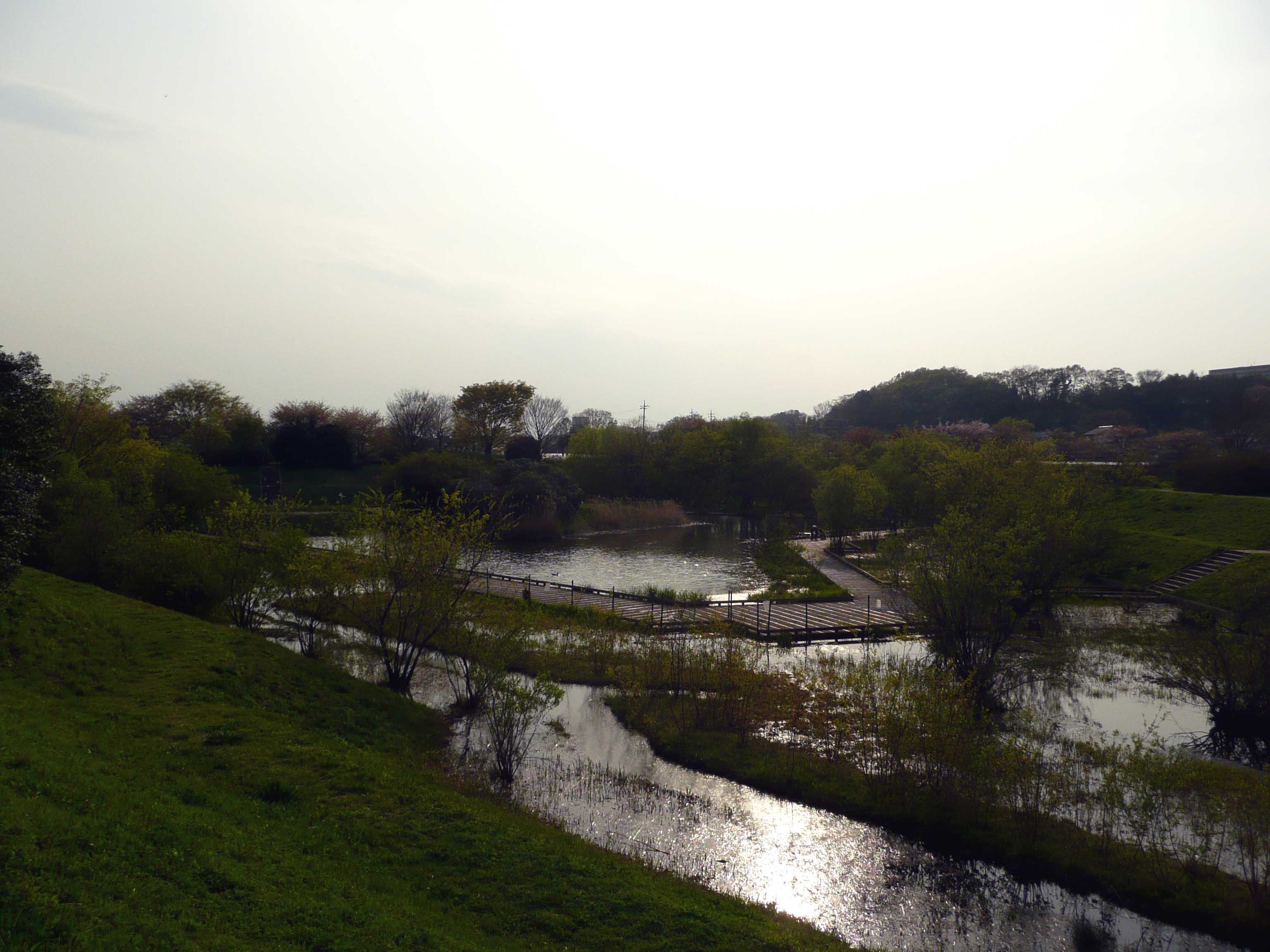 金山緑地公園_f0234820_20432179.jpg