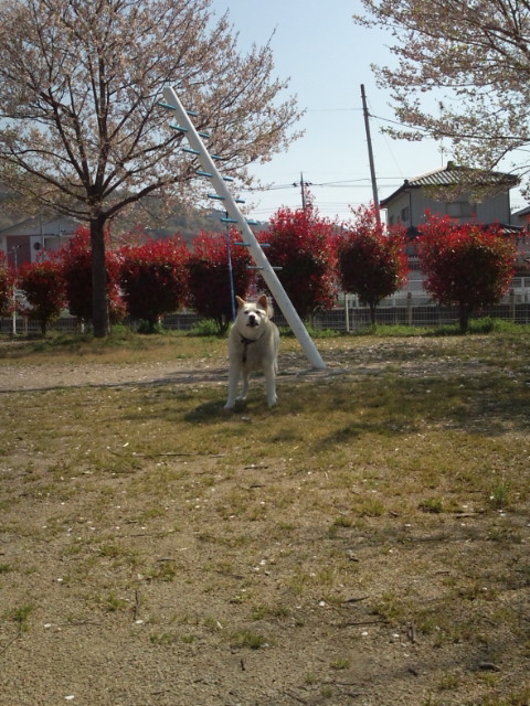 d0077029_802025.jpg