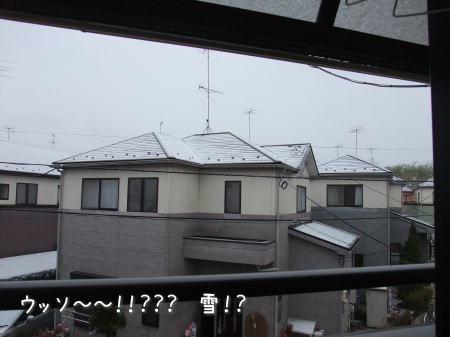 雪！！？_f0023333_828304.jpg