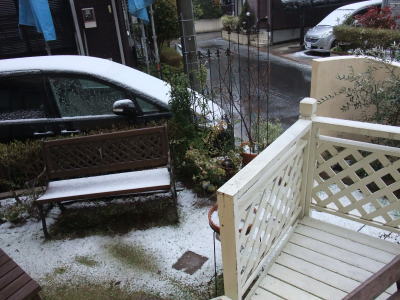 雪!!?_f0023333_8302544.jpg