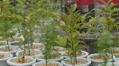 f0121534_12191285.gif