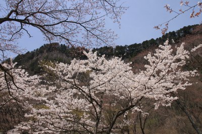d0055236_11125183.jpg