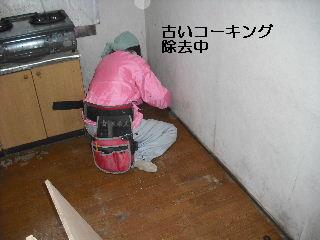 長いお付き合い_f0031037_20324518.jpg