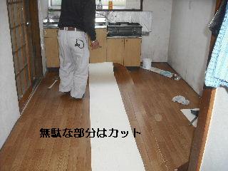 長いお付き合い_f0031037_20332635.jpg