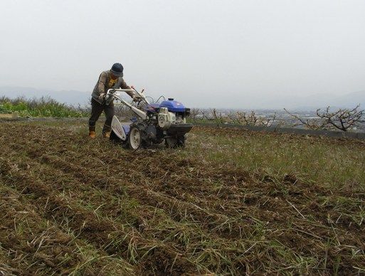 田起こしで腰痛起こす 甲州半農人 山梨で農的生活を始めた東京人が考える農業 環境 そして食 田起こしで腰痛起こす 甲州半農人 山梨で農的生活を始めた東京人が考える農業 環境 そして食