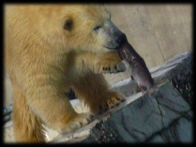 d0154140_1330483.jpg