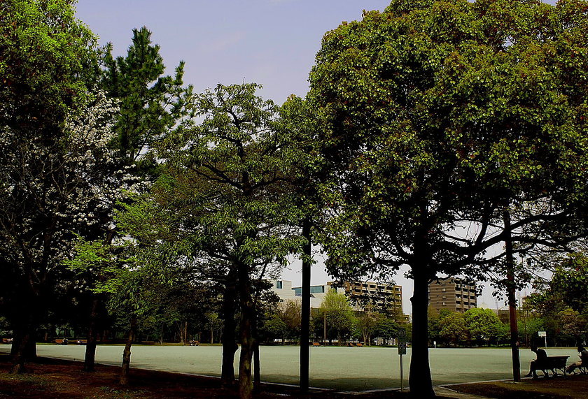 公園_f0137044_4505799.jpg