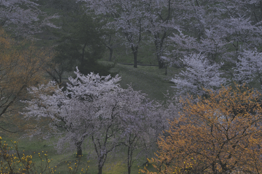 c0093046_7403755.gif