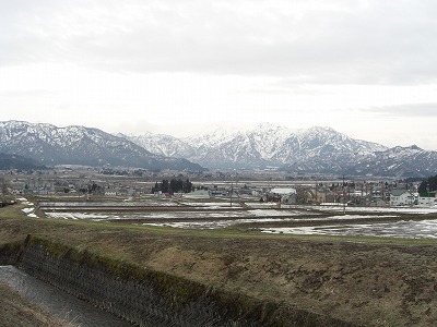 春の足音_a0084753_1053720.jpg
