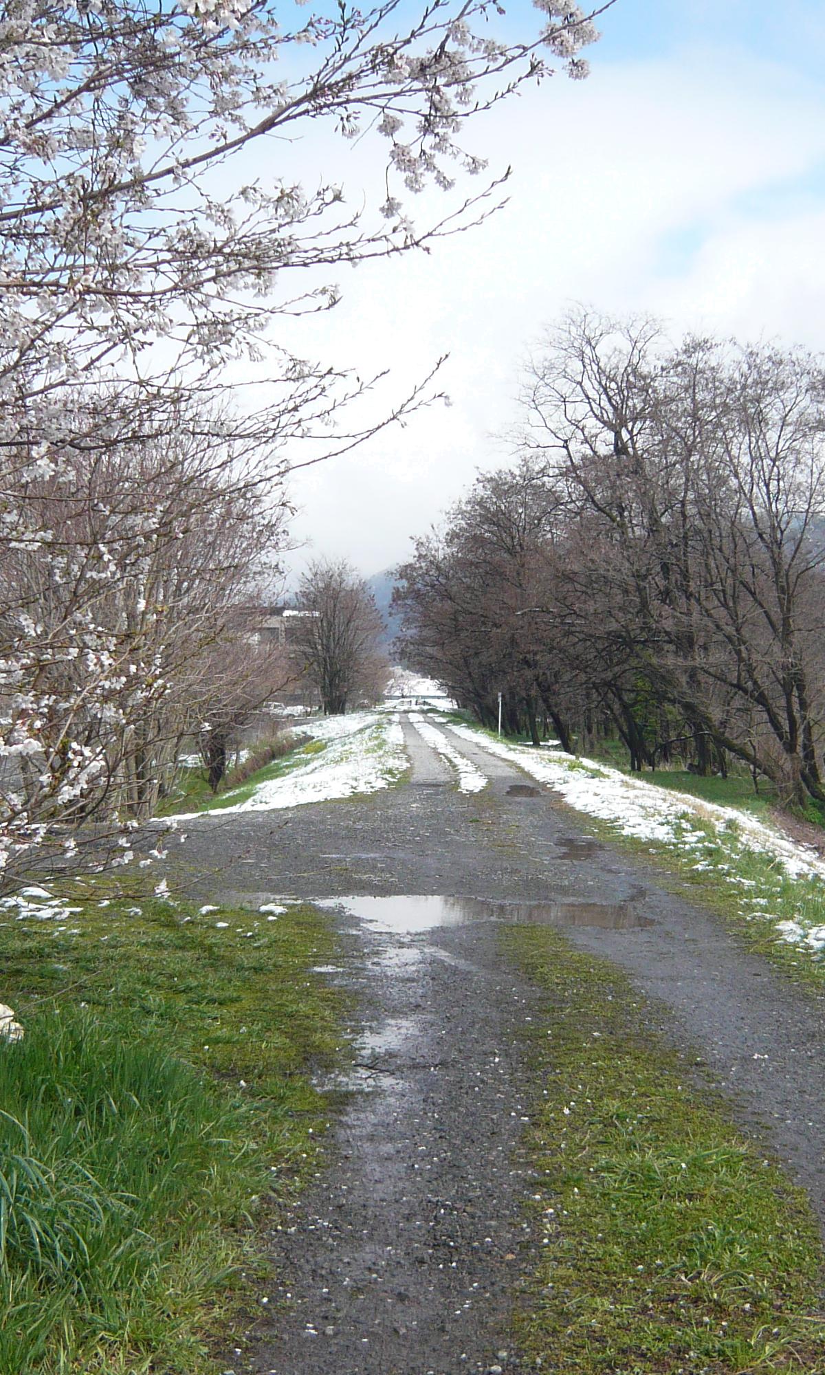 c0140260_17121.jpg