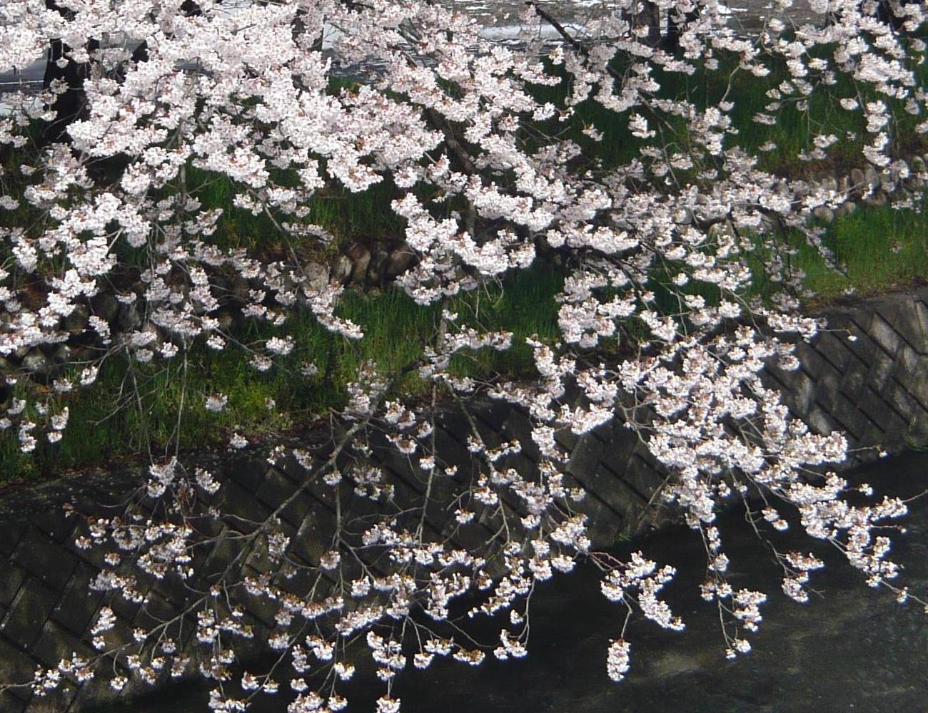 c0140260_1897.jpg