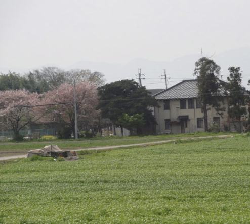 2010年4月１９日(月）　近江鉄道沿線_a0063364_2338165.jpg