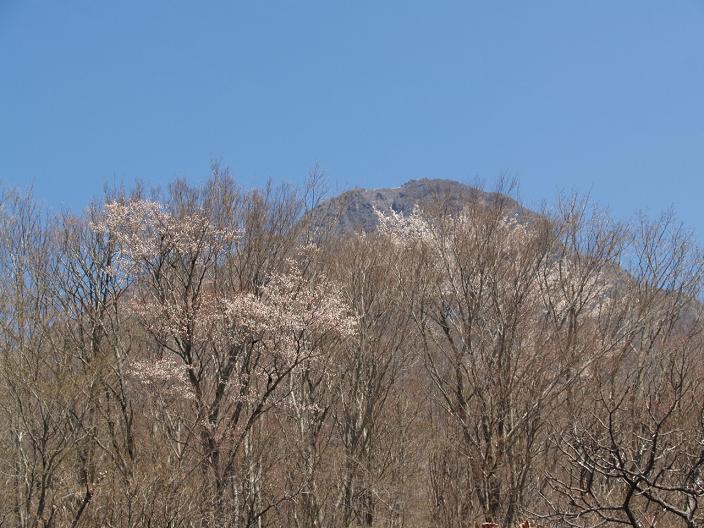 由布岳登山と雨乞牧場、男池花散策。_f0016066_13522941.jpg