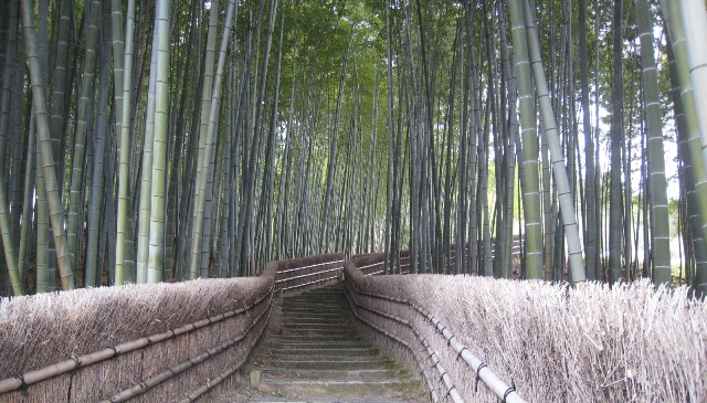 愛宕（おたぎ）念仏寺_f0088569_2120104.jpg