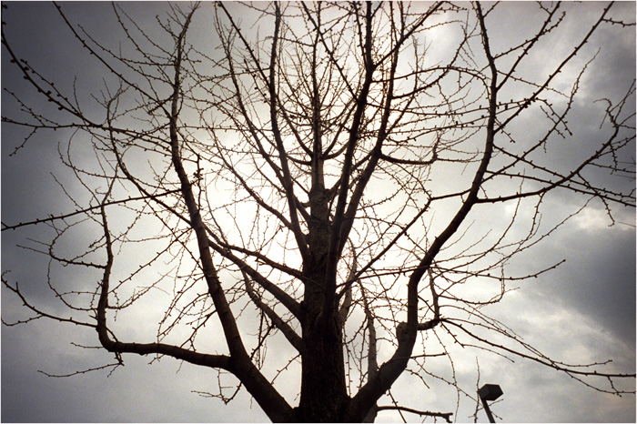 c0168172_10464063.jpg