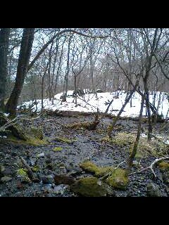 b0125180_1993869.jpg