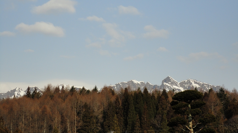e0024081_8482638.jpg