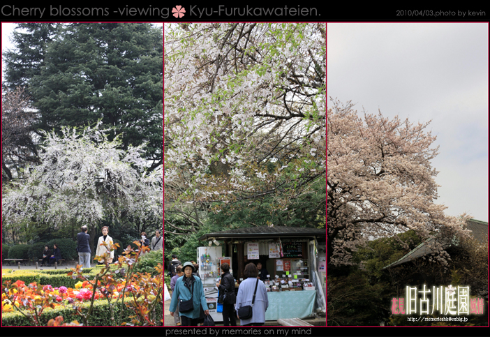 ★花見風情＃旧古川庭園★_c0159182_0375418.jpg