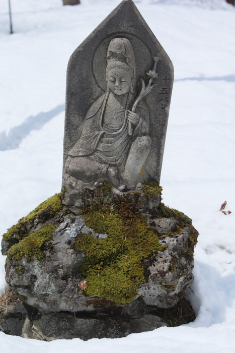 雪景色　　雪中カタクリ 三島町 ２０１０・０４・１８_e0143883_1824636.jpg