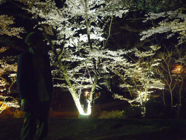 夜桜＆Fair延長のお知らせ★_c0221885_1520133.jpg