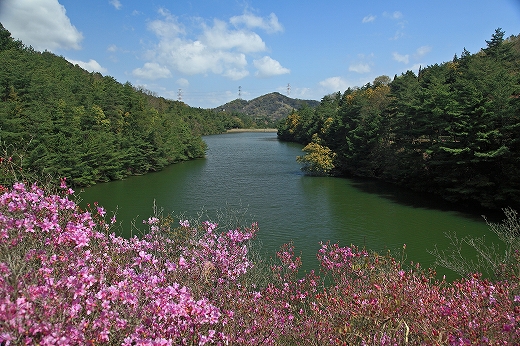 春の深山公園-Ⅱ_e0190885_1991015.jpg