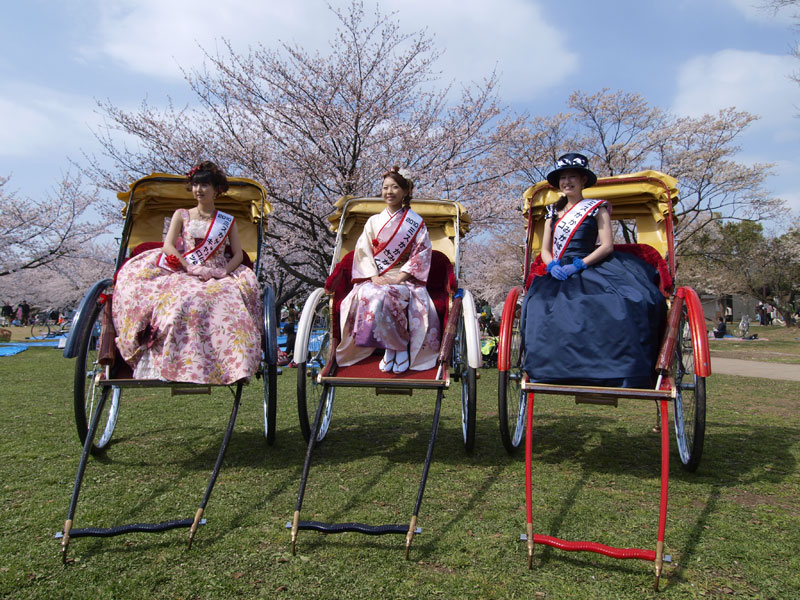 No 103 岐阜県 各務原市桜まつり 木彫りの熊 Photo Gallery