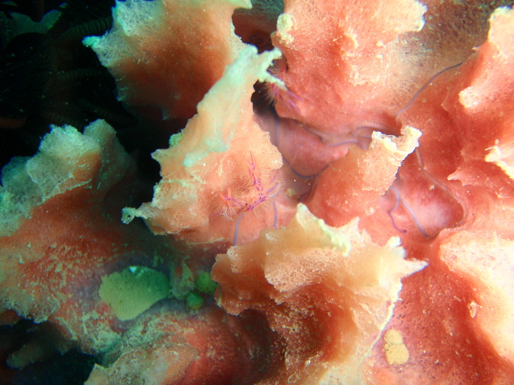 d0034291_2381569.jpg