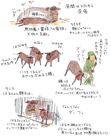 f0236291_632960.gif